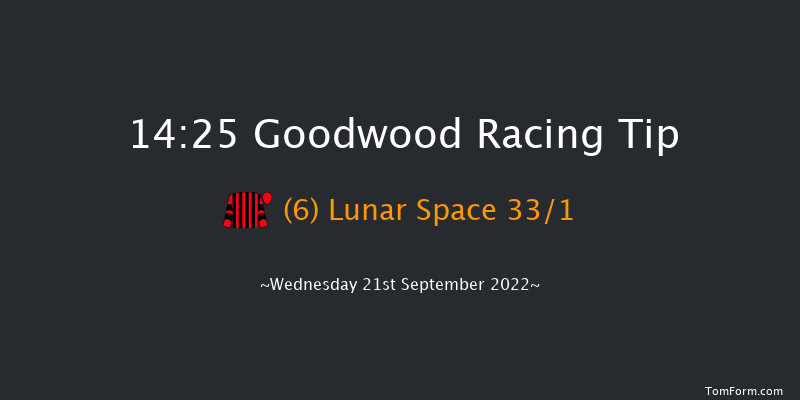 Goodwood 14:25 Handicap (Class 2) 8f Tue 6th Sep 2022