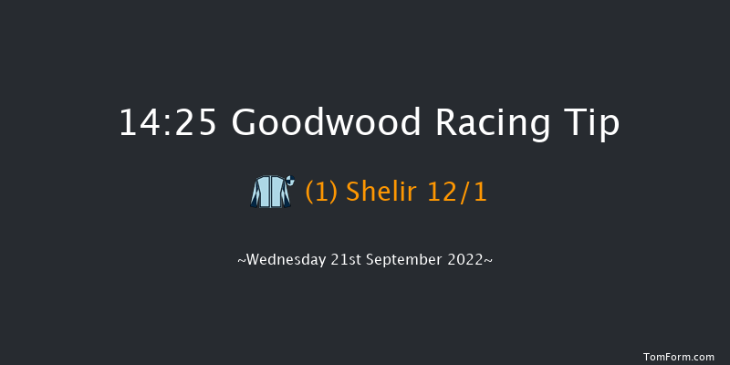 Goodwood 14:25 Handicap (Class 2) 8f Tue 6th Sep 2022