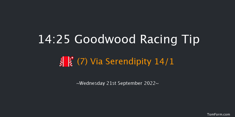 Goodwood 14:25 Handicap (Class 2) 8f Tue 6th Sep 2022