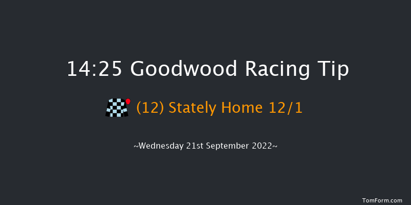 Goodwood 14:25 Handicap (Class 2) 8f Tue 6th Sep 2022