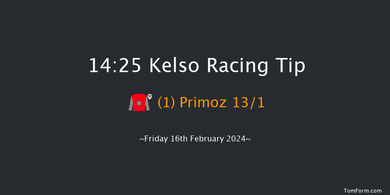 Kelso  14:25 Novices Hurdle (Class 4) 16f Fri 29th Dec 2023