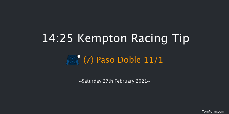 Close Brothers Adonis Juvenile Hurdle (Grade 2) (GBB Race) Kempton 14:25 Conditions Hurdle (Class 1) 16f Wed 24th Feb 2021