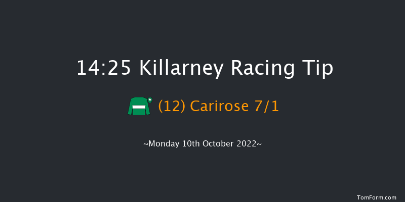 Killarney 14:25 Handicap 8f Sun 2nd Oct 2022