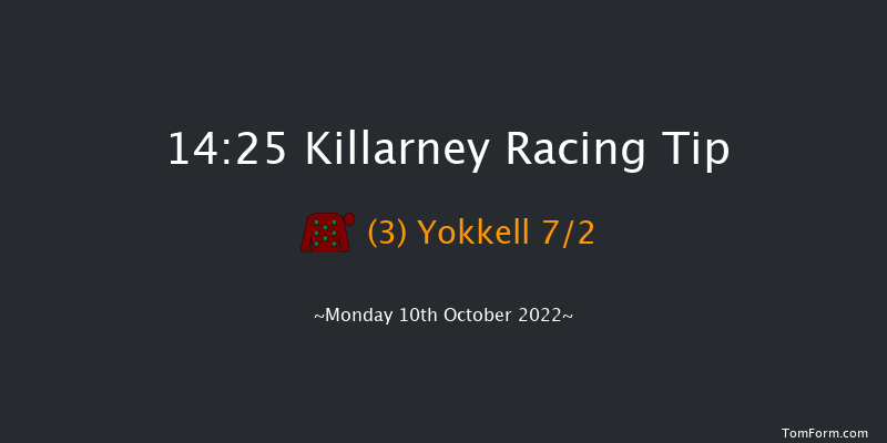 Killarney 14:25 Handicap 8f Sun 2nd Oct 2022