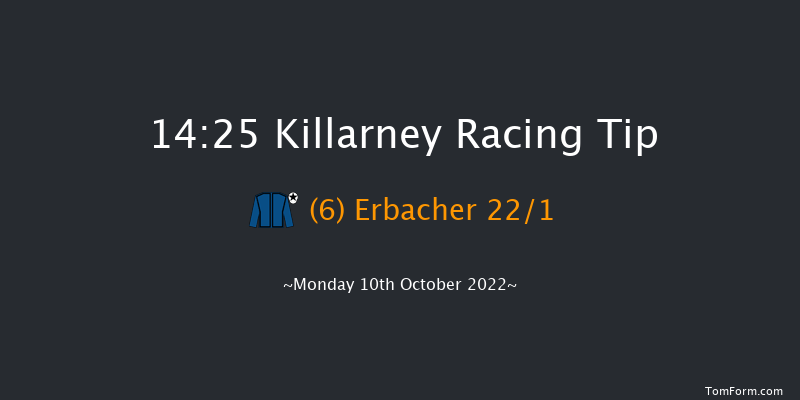 Killarney 14:25 Handicap 8f Sun 2nd Oct 2022