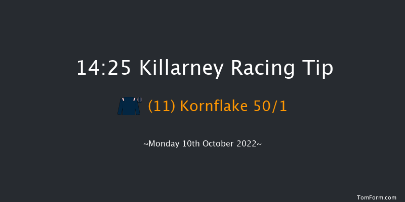 Killarney 14:25 Handicap 8f Sun 2nd Oct 2022