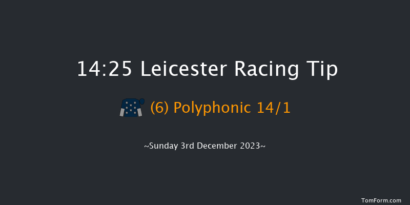 Leicester 14:25 Handicap Hurdle (Class 4) 16f Mon 20th Nov 2023