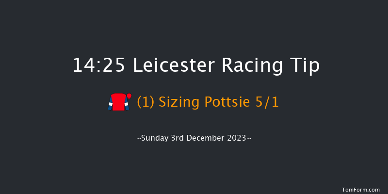 Leicester 14:25 Handicap Hurdle (Class 4) 16f Mon 20th Nov 2023