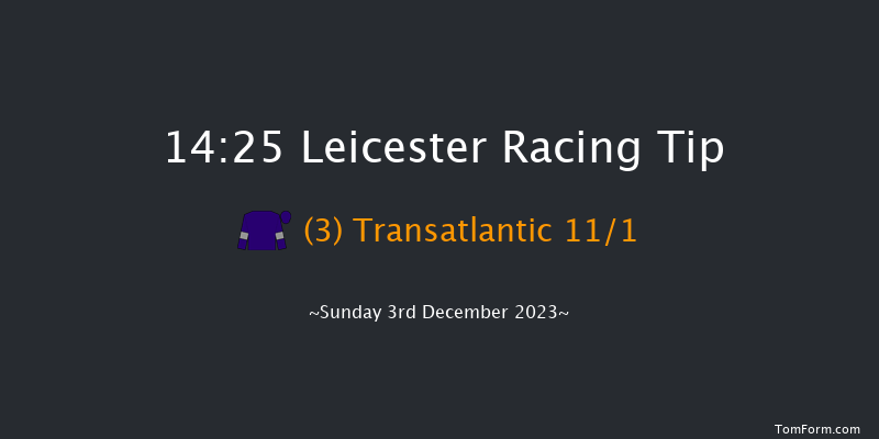 Leicester 14:25 Handicap Hurdle (Class 4) 16f Mon 20th Nov 2023