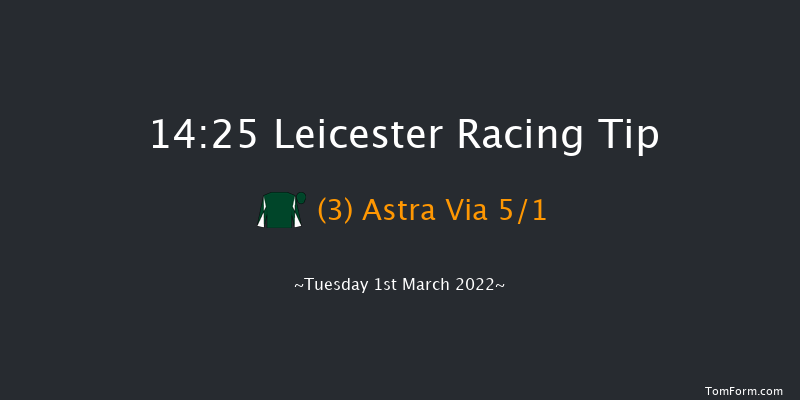 Leicester 14:25 Handicap Chase (Class 5) 20f Thu 17th Feb 2022