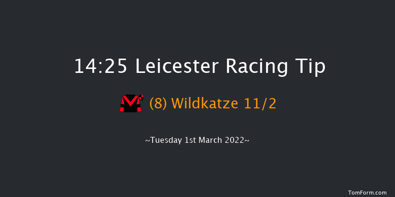 Leicester 14:25 Handicap Chase (Class 5) 20f Thu 17th Feb 2022