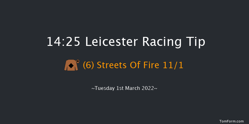 Leicester 14:25 Handicap Chase (Class 5) 20f Thu 17th Feb 2022