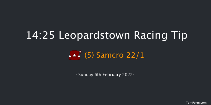 Leopardstown 14:25 Handicap Chase 21f Sat 5th Feb 2022