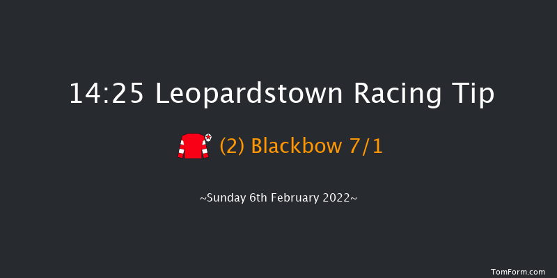 Leopardstown 14:25 Handicap Chase 21f Sat 5th Feb 2022