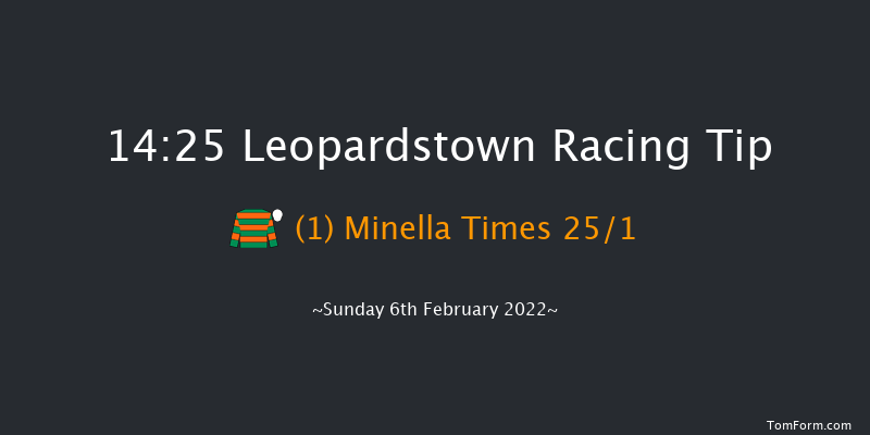 Leopardstown 14:25 Handicap Chase 21f Sat 5th Feb 2022