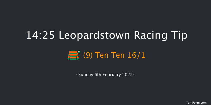 Leopardstown 14:25 Handicap Chase 21f Sat 5th Feb 2022