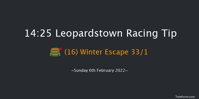 Leopardstown 14:25 Handicap Chase 21f Sat 5th Feb 2022