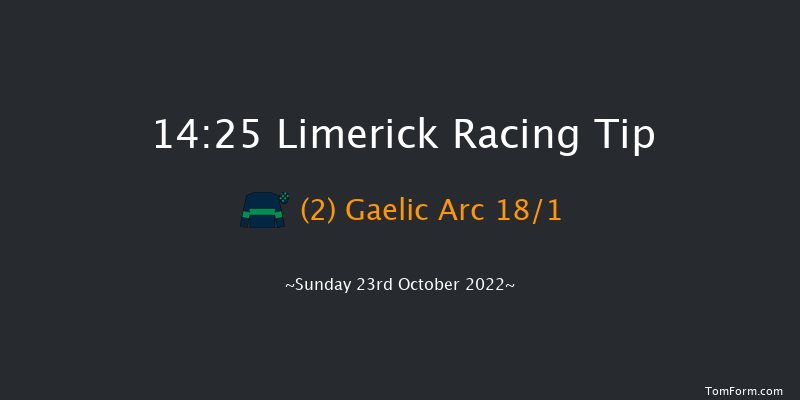 Limerick 14:25 Novices Hurdle 21f Thu 21st Jul 2022