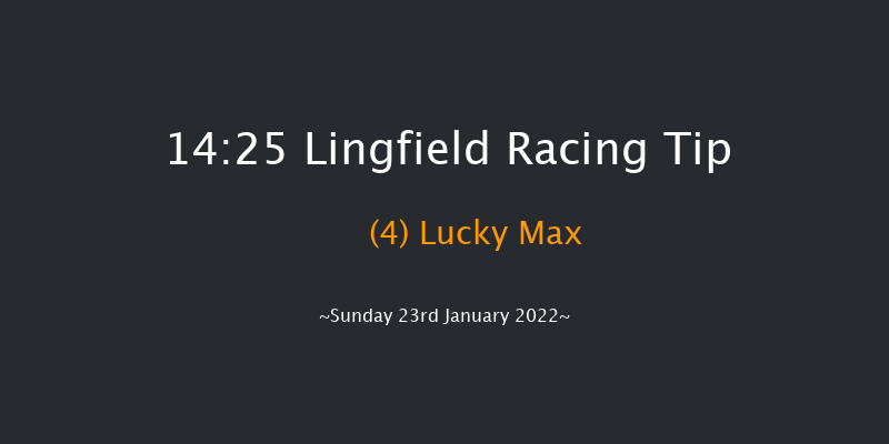 Lingfield 14:25 Conditions Hurdle (Class 2) 20f Sat 22nd Jan 2022