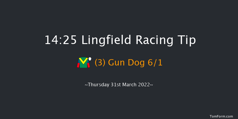 Lingfield 14:25 Handicap (Class 6) 7f Wed 30th Mar 2022