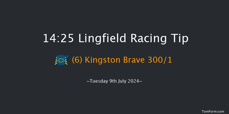 Lingfield  14:25 Maiden (Class 5) 10f Tue 2nd Jul 2024