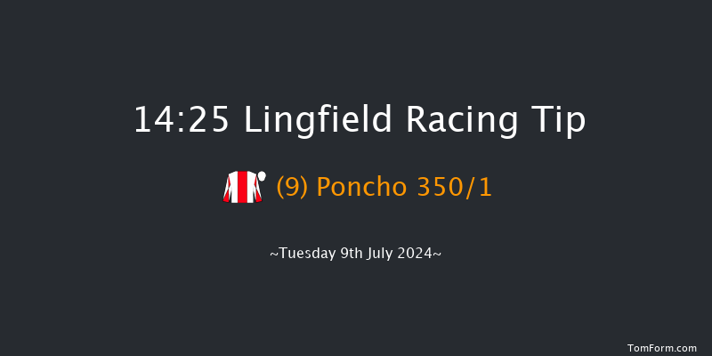 Lingfield  14:25 Maiden (Class 5) 10f Tue 2nd Jul 2024