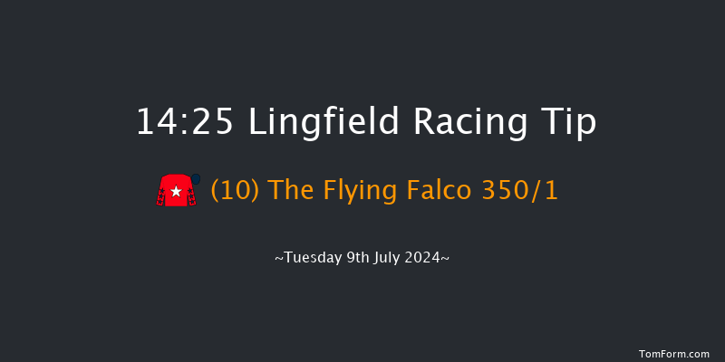 Lingfield  14:25 Maiden (Class 5) 10f Tue 2nd Jul 2024