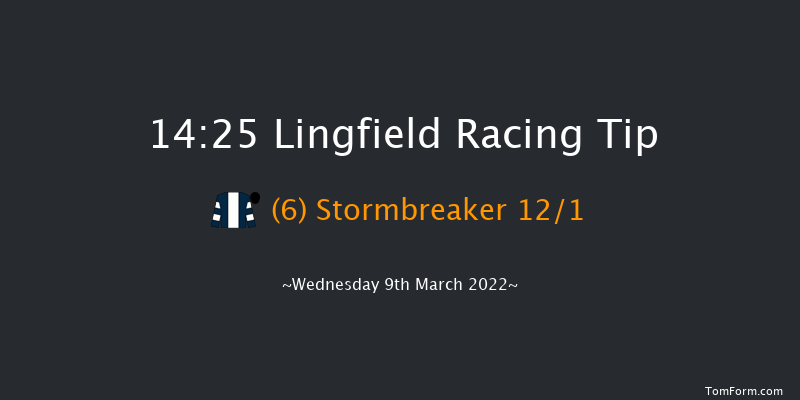 Lingfield 14:25 Maiden (Class 6) 10f Sat 5th Mar 2022