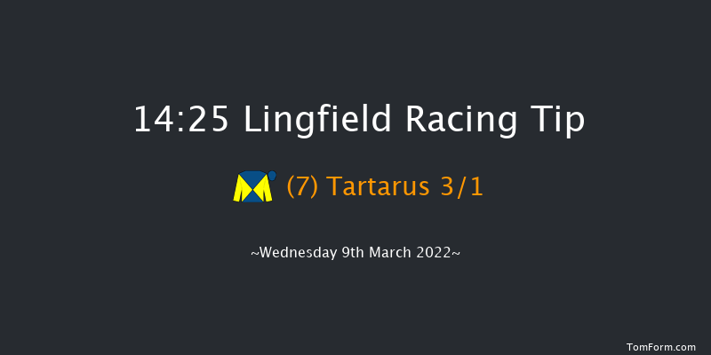 Lingfield 14:25 Maiden (Class 6) 10f Sat 5th Mar 2022