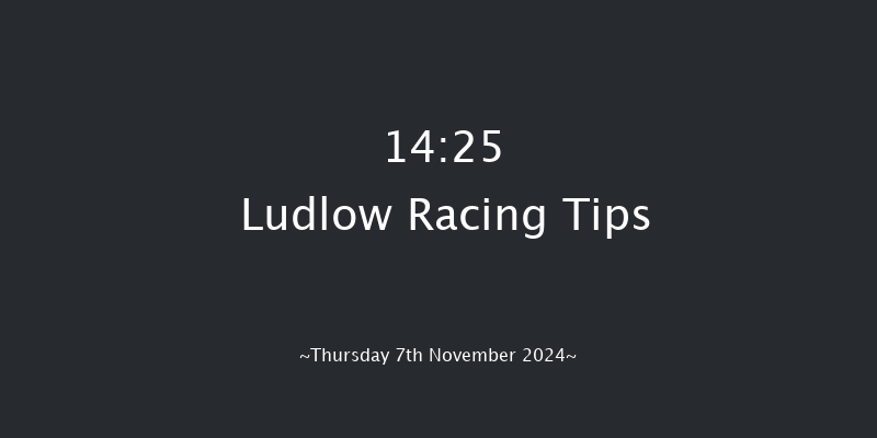 Ludlow  14:25 Maiden Hurdle (Class 4) 21f Thu 24th Oct 2024