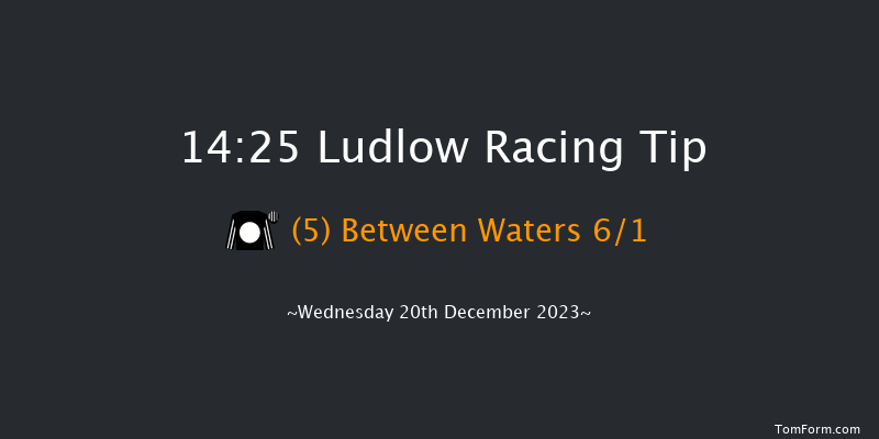 Ludlow 14:25 Maiden Hurdle (Class 4) 21f Wed 6th Dec 2023