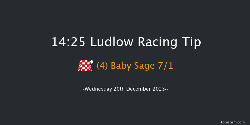 Ludlow 14:25 Maiden Hurdle (Class 4) 21f Wed 6th Dec 2023