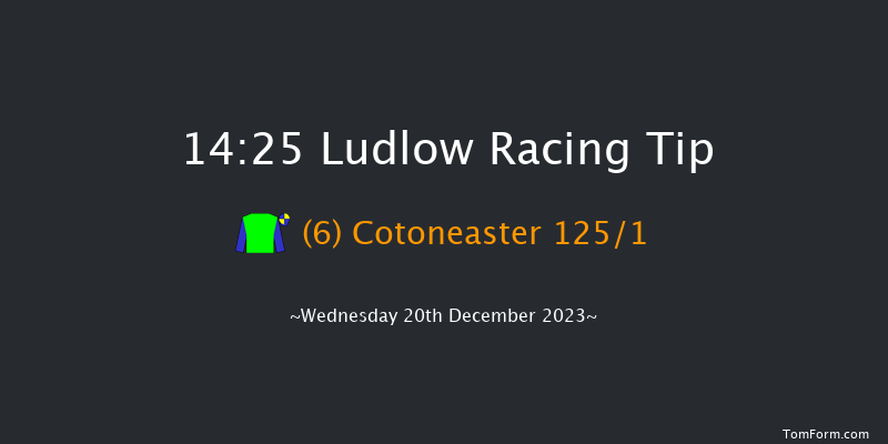 Ludlow 14:25 Maiden Hurdle (Class 4) 21f Wed 6th Dec 2023