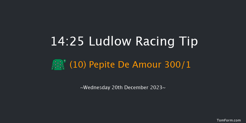 Ludlow 14:25 Maiden Hurdle (Class 4) 21f Wed 6th Dec 2023