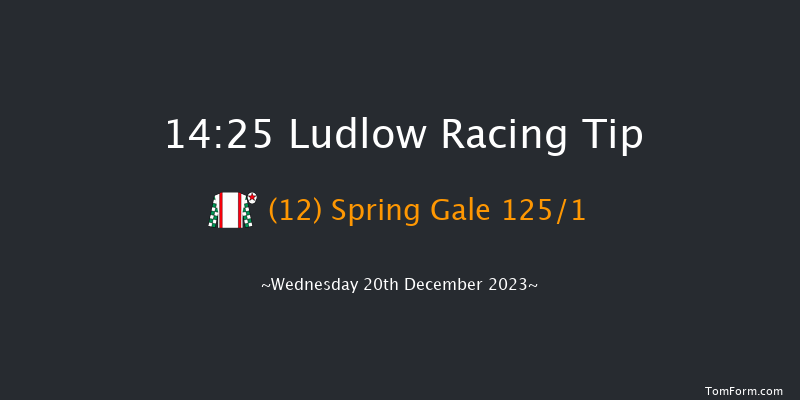 Ludlow 14:25 Maiden Hurdle (Class 4) 21f Wed 6th Dec 2023