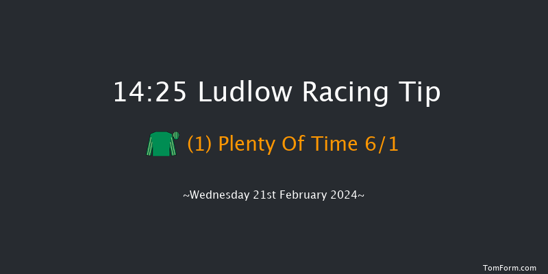 Ludlow  14:25 Handicap Chase (Class 3) 20f Wed 7th Feb 2024