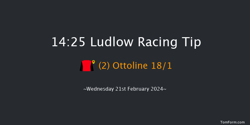 Ludlow  14:25 Handicap Chase (Class 3) 20f Wed 7th Feb 2024