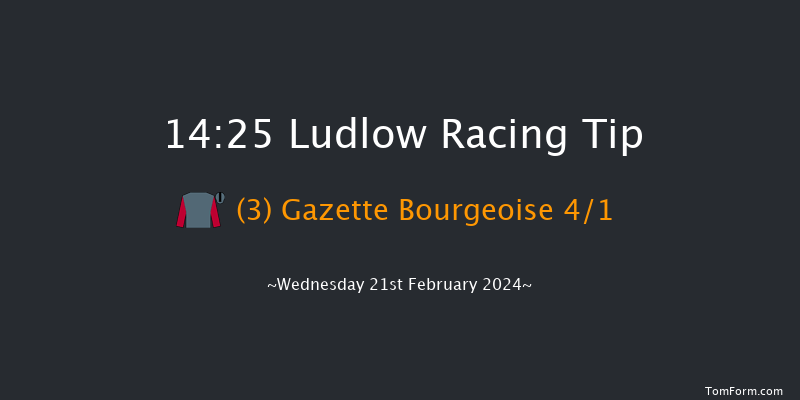 Ludlow  14:25 Handicap Chase (Class 3) 20f Wed 7th Feb 2024