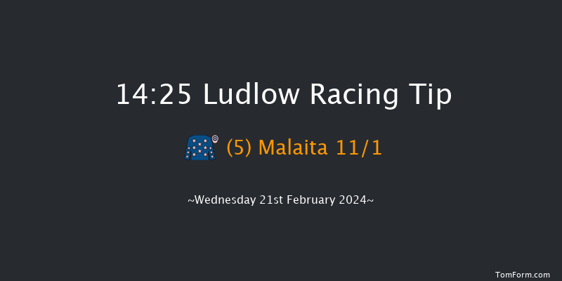 Ludlow  14:25 Handicap Chase (Class 3) 20f Wed 7th Feb 2024