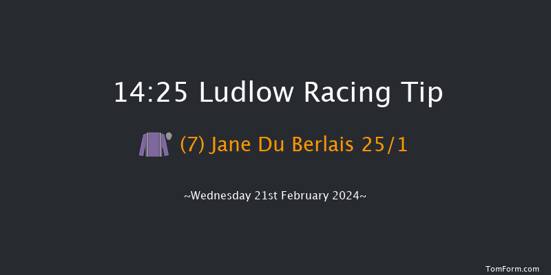 Ludlow  14:25 Handicap Chase (Class 3) 20f Wed 7th Feb 2024