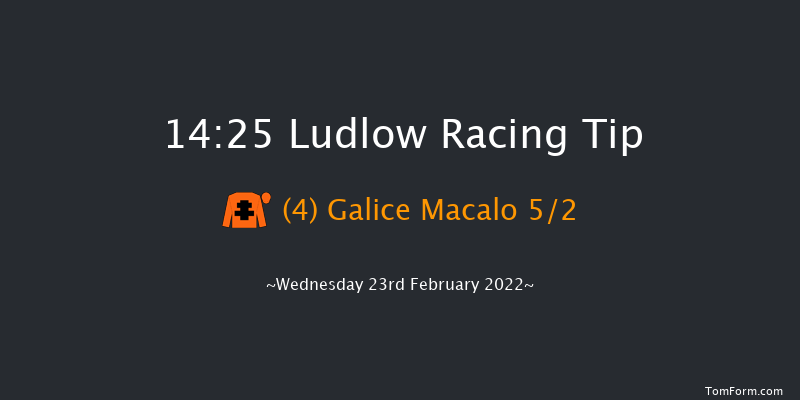 Ludlow 14:25 Maiden Chase (Class 3) 20f Wed 9th Feb 2022