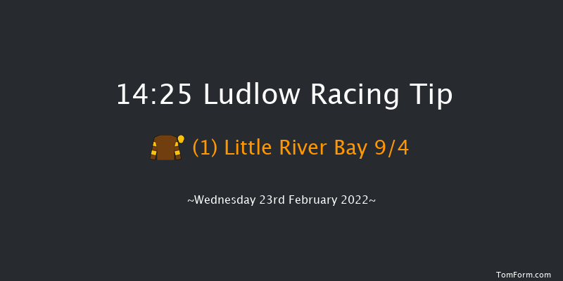 Ludlow 14:25 Maiden Chase (Class 3) 20f Wed 9th Feb 2022