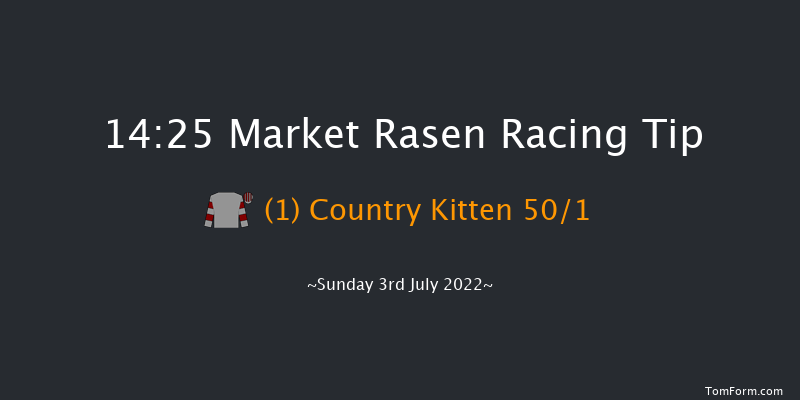 Market Rasen 14:25 Maiden Hurdle (Class 4) 21f Fri 17th Jun 2022