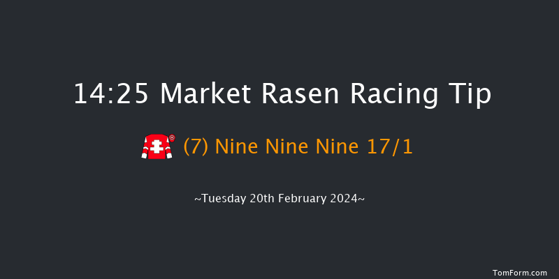 Market Rasen  14:25 Handicap
Chase (Class 5) 24f Tue 6th Feb 2024