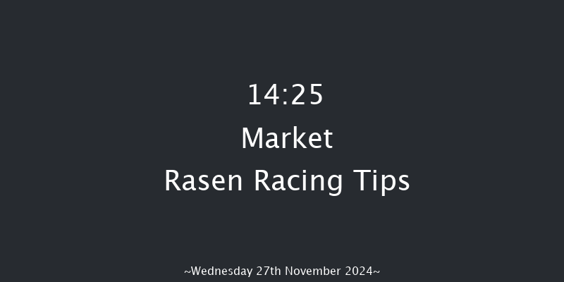 Market Rasen  14:25 Conditions Chase (Class 1) 24f Thu 14th Nov 2024