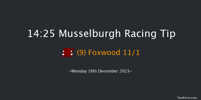 Musselburgh 14:25 Handicap Hurdle (Class 5) 20f Fri 1st Dec 2023