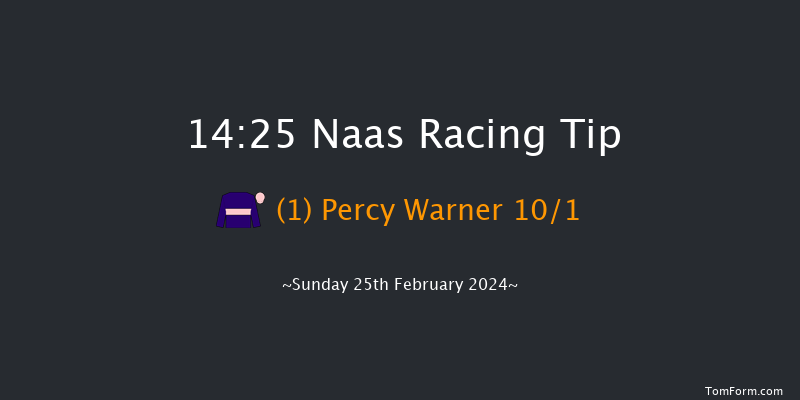 Naas  14:25 Handicap Chase 20f Sat 10th Feb 2024