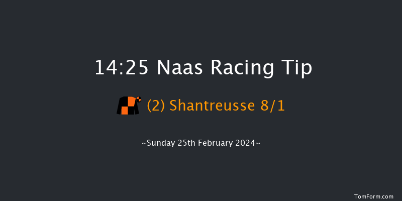 Naas  14:25 Handicap Chase 20f Sat 10th Feb 2024