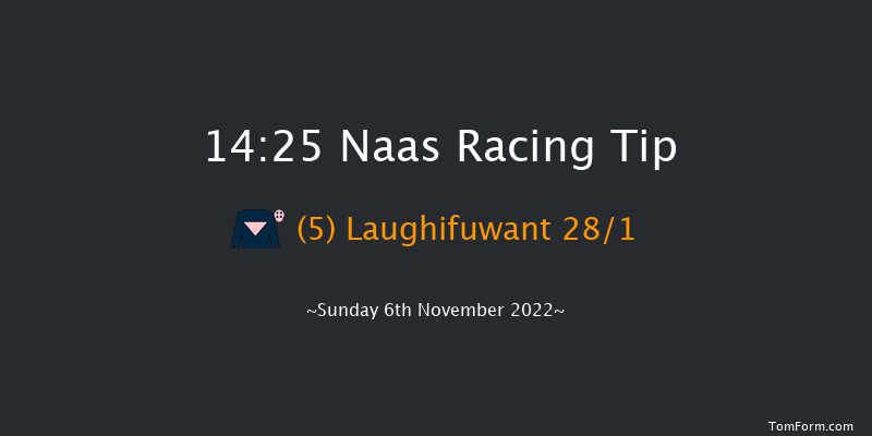 Naas 14:25 Stakes 8f Sun 16th Oct 2022