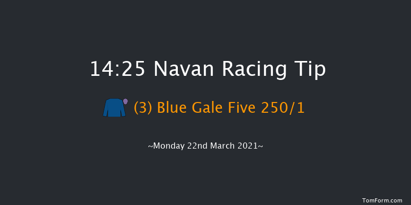 Boyne Valley Maiden Hurdle (Div 1) Navan 14:25 Maiden Hurdle 16f Sat 13th Mar 2021